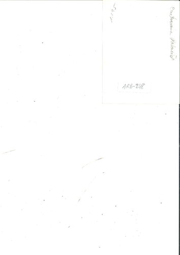 image_thumbnail