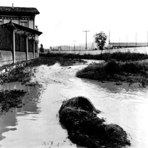 image_thumbnail