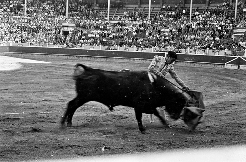 image_thumbnail