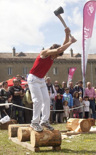 image_thumbnail