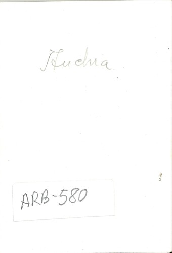 image_thumbnail
