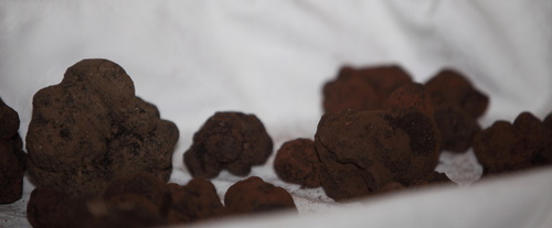 image_thumbnail