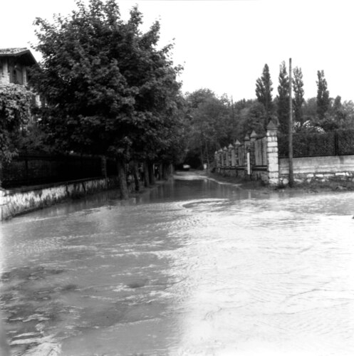 image_thumbnail