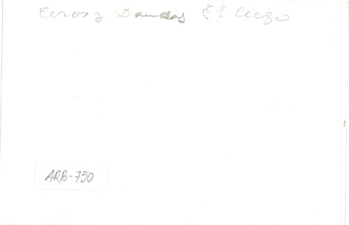 image_thumbnail