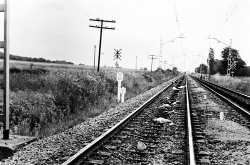 image_thumbnail