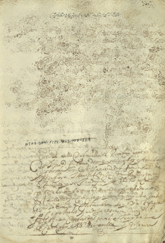 image_thumbnail