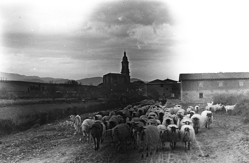 image_thumbnail