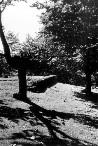 image_thumbnail