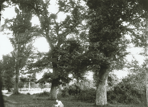 image_thumbnail