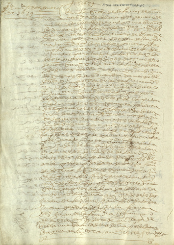 image_thumbnail