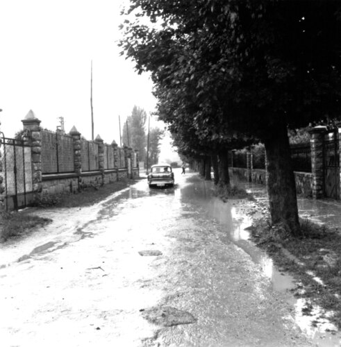 image_thumbnail