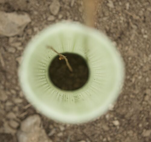 image_thumbnail