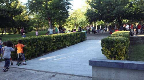 image_thumbnail