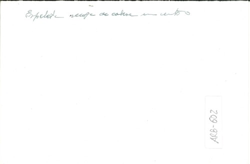 image_thumbnail