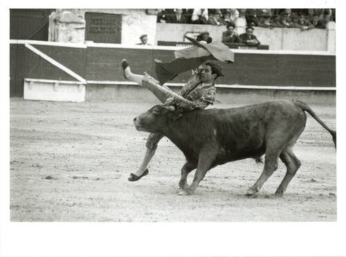 image_thumbnail