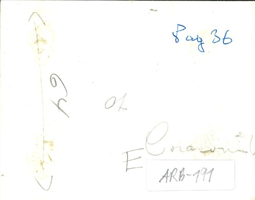 image_thumbnail