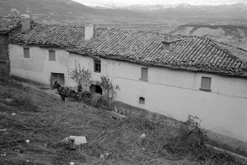 image_thumbnail