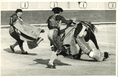 image_thumbnail