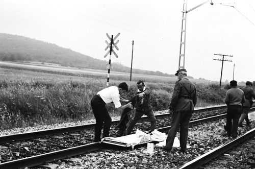 image_thumbnail