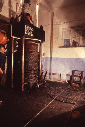 image_thumbnail