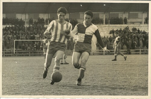 image_thumbnail