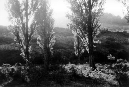 image_thumbnail