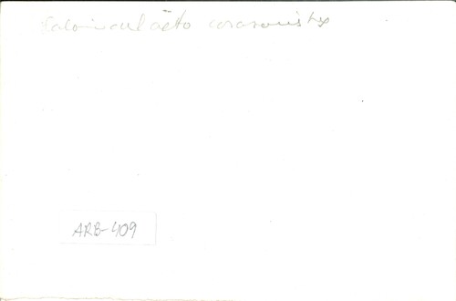 image_thumbnail