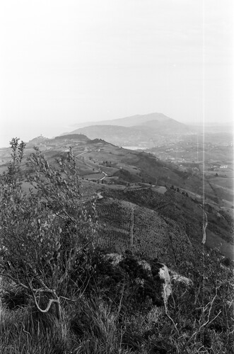 image_thumbnail