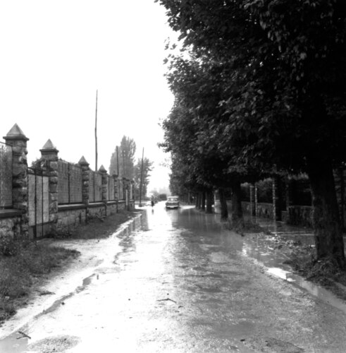 image_thumbnail