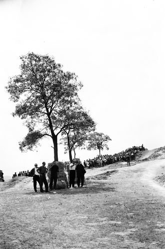 image_thumbnail