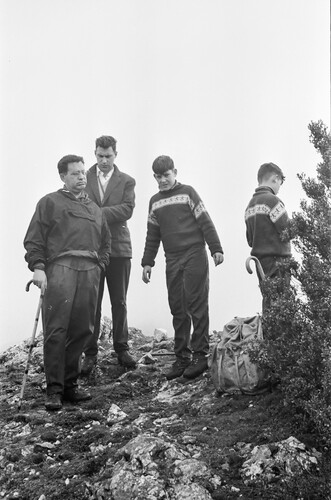 image_thumbnail