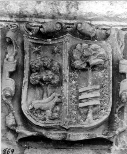 image_thumbnail
