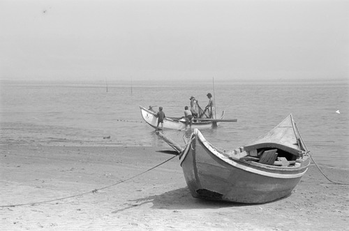 image_thumbnail