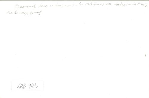 image_thumbnail