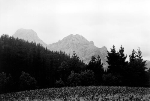 image_thumbnail