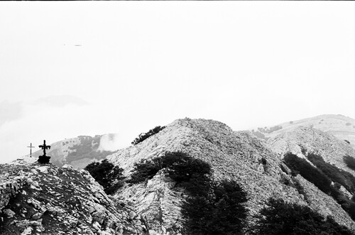 image_thumbnail