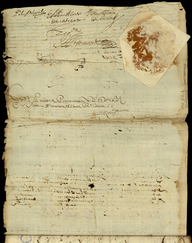 image_thumbnail