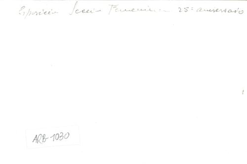 image_thumbnail
