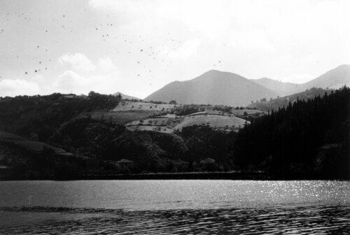 image_thumbnail
