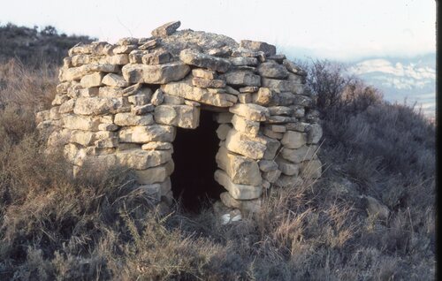 image_thumbnail