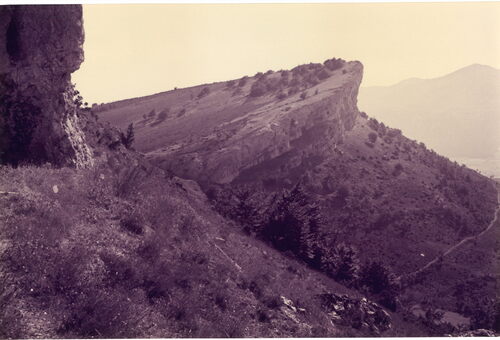 image_thumbnail