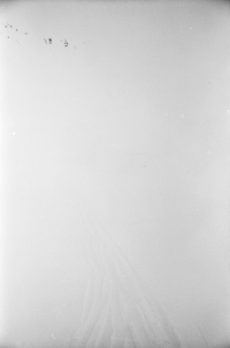 image_thumbnail