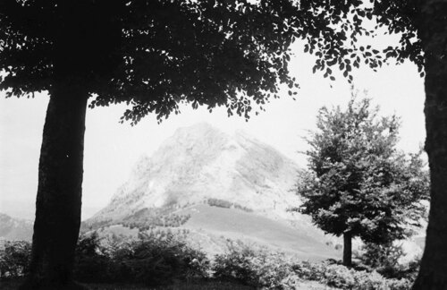 image_thumbnail