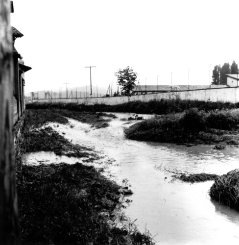 image_thumbnail