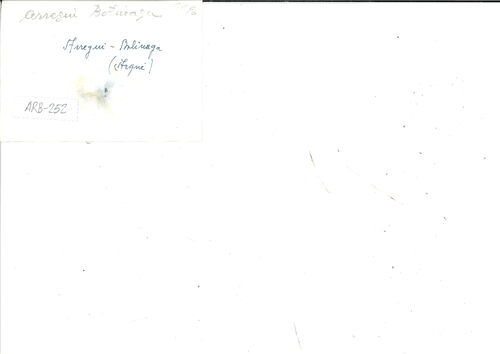 image_thumbnail