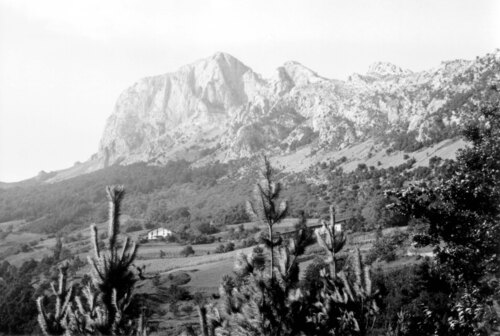 image_thumbnail