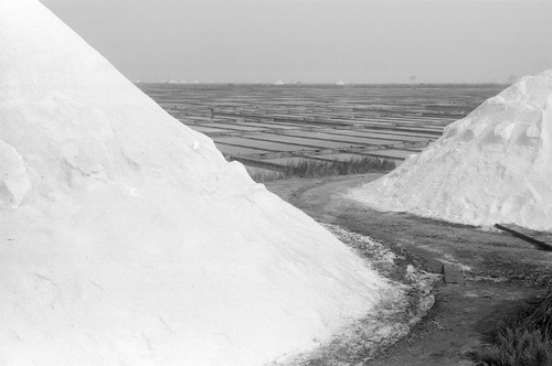 image_thumbnail