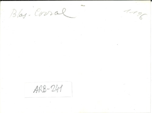 image_thumbnail