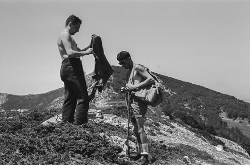 image_thumbnail