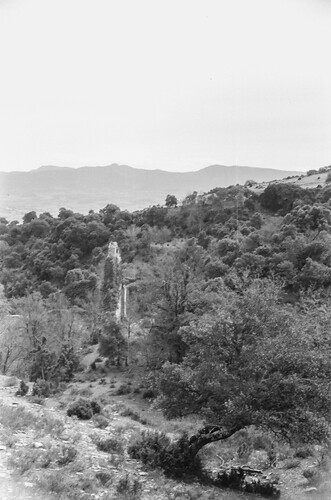 image_thumbnail